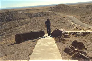 small_9400 1258 ct ca az family fujiIMG0007.webp